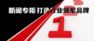 网络广告发布 全面解析制作厂家与价格因素