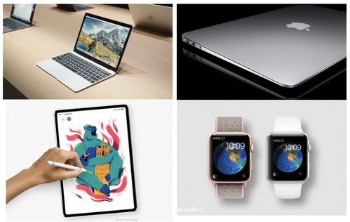 斑马传媒2018年9月营销热点日历，广告人必收藏