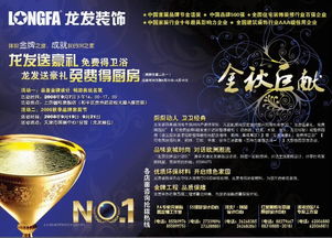 金秋巨献 龙发装饰家装精品广告策划全案赏析